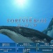 そろそろ深海をメインにしたゲームが出ても良いと思う
