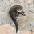 アクア・トトぎふ　上からコツメ