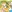 �����Love���͡����Ǵ���