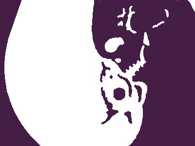 陰陽