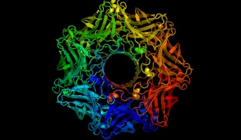 【第2回】暇なので分子モデルを淡々とあげてく。解説もあるよ!