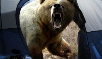 福岡大のヒグマ襲撃事件、あれ何度読んでも怖すぎるだろ・・・・