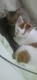 BlogPaint