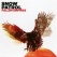 今週のCD 「Fallen Empires / Snow Patrol」
