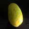 ダシェリマンゴー Dasheri mango