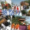 葵祭り*2012