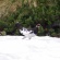 立山、雪の大谷と雷鳥を見てきた。