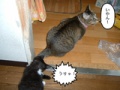 BlogPaint
