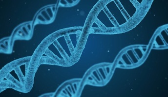 ゲノムとか遺伝子について研究してるけど何か質問ある?