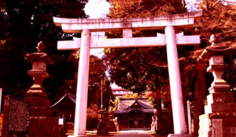毎年送られてくる謎のハガキが怖い・・・「友達からのはがき」