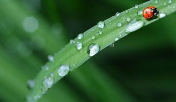 田舎の人「雨のにおいがする…」ワイ「???」→本当に雨が降る