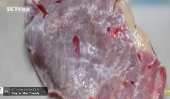 【閲覧注意】中国で生肉買ったらビクンビクン痙攣しててワロタwww(動画あり)