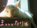 BlogPaint