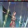 家臣を連れてソロ青龍 #nobuon　