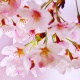 �ʤ󤫤�ä���˻����(T^T)