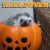 (o'д')ノ☆゚*。TRICK or TREAT*゚☆ヽ('д'o)