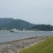 白くてでかいイヌが瀬戸内海を散歩に出かけた模様です。