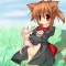 ぬこぬここ
