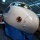 ��ͷ�Ǥ�Ŵƻ��������(2012ǯ1��)