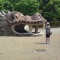 ゴールデンウィーク