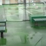 雪・・・降ってます!