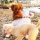 おてんきもいいし。