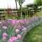 Garden ! Garden ! Garden !