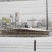 下北駅前広場の植木雪囲い