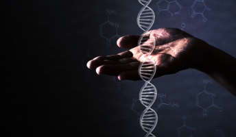 【議論】なぜ生物は生きようとするのか