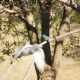 ��550�ǥ��糧�ߡ���DT18-250����Part10