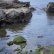 三浦半島ツアー