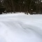 �������Ρ����塼�ϥ����󥰡��ץ�Ļ��
