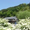 【八ヶ岳観光動画】南八ヶ岳花の森公園（道の駅南きよさと）