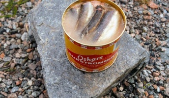 彡(゚)(゚)「くっさ!ニシンを加熱せずに加工することで製造後の発酵が進むため