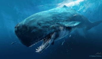 深海・巨大生物 ←この2つ、ワクワクするんだが分かる奴いる?(画像あり)