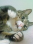 200905120228