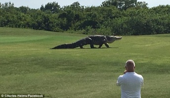 アメリカのゴルフ場がヤバすぎると話題に・・・(画像あり)