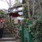 猫の細道