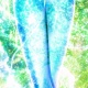 Shining Legs