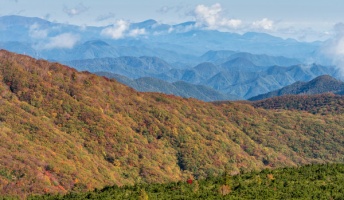 本州でまだ未開の土地あるんやろか