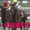 買い目配信にノウハウ配布も！『データ競馬PREMIUM』会員募集のお知らせ