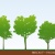 CAD データ＞添景樹木＞DWG,EPS,JPG