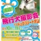 12月10-11日ドッグリゾート犬山飛行犬撮影会