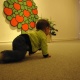 where is miffy?