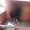 �饯����ߡ��إʤθ���������ɤؤ�ι��