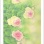 森寛子水彩画作品展 「花物語 Ⅱ」 ホテルアンビエント #伊豆高原