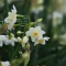 �ڤβ֤ʤ�