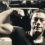 JCVD  �ڤ����˥���������