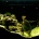 �Ȥ���ޥ��������μ���ʥĥ��ۥ���,Speckled blue grouper��