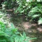 【八ヶ岳観光動画】すずらん池と井詰湧水（北杜市小淵沢町）
